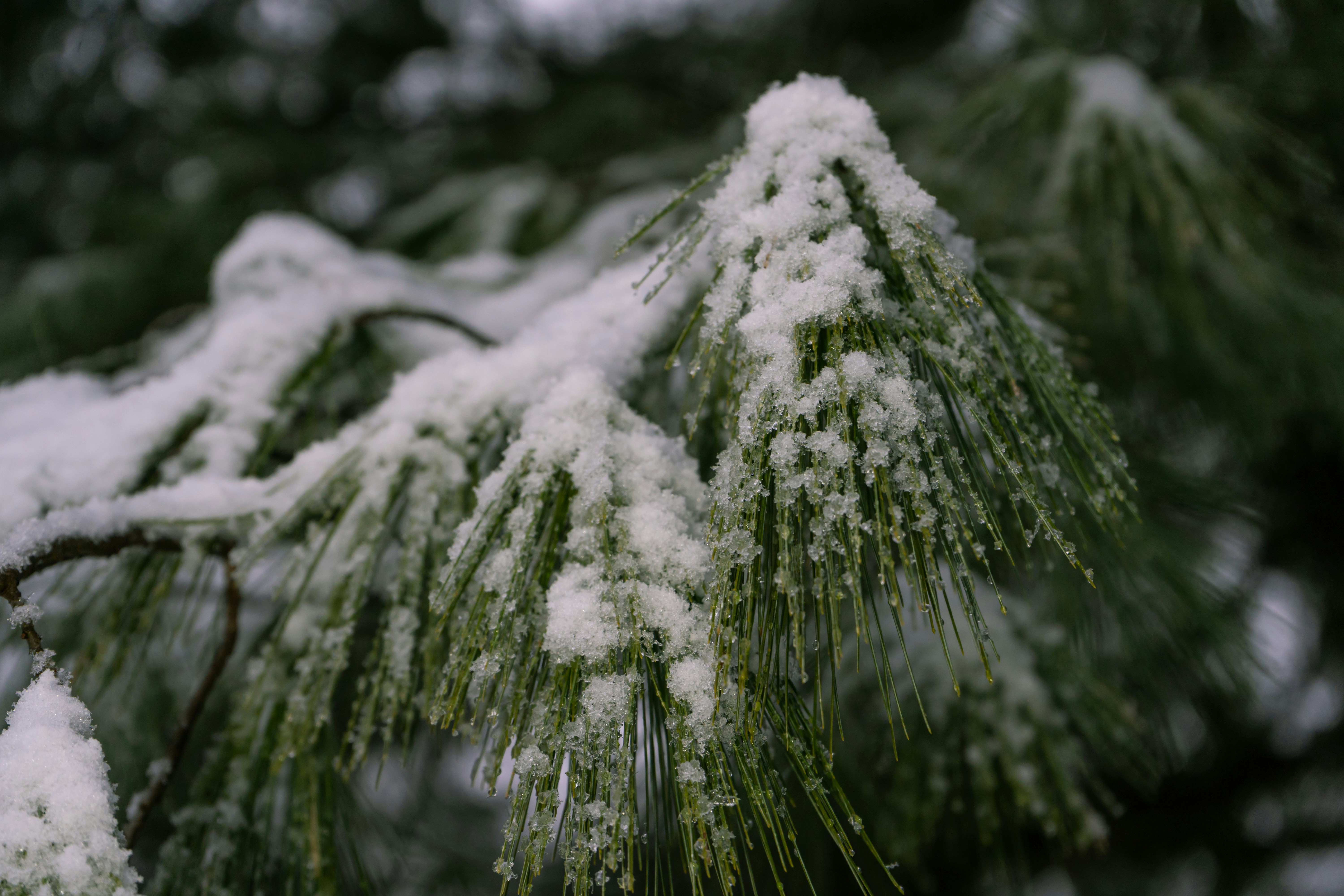 Photo by oliver_fetter