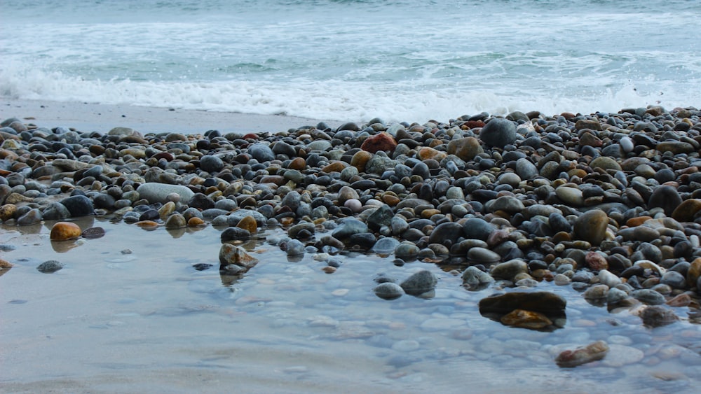 black and brown stones on seashore during daytime