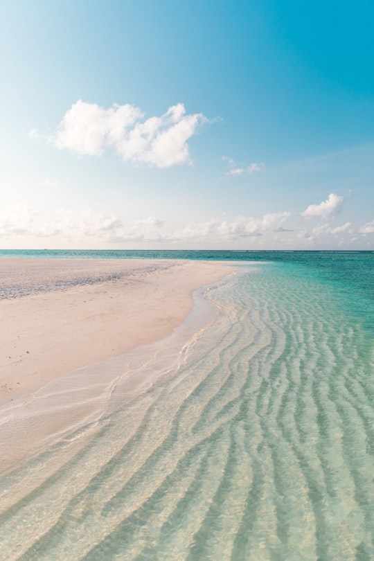 white sand beach during daytime in Meeru Island Maldives