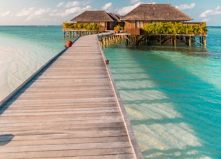 brown wooden dock on blue sea under blue sky during daytime