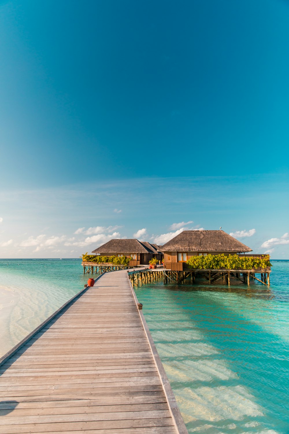 Braunes Holzdock am blauen Meer unter blauem Himmel tagsüber