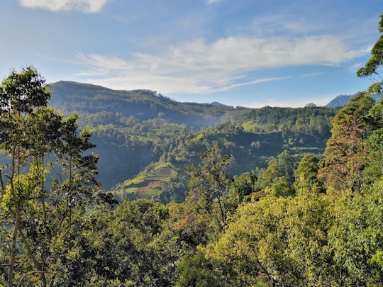 green trees on mountain under blue sky during daytime in Ella Sri Lanka