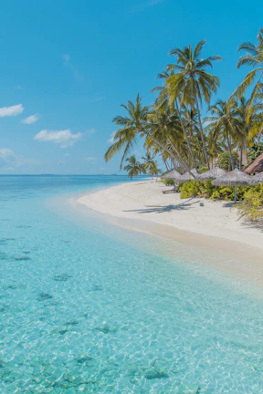 Pristine white sandy beach of Zanzibar with palm trees swaying under a clear blue sky.