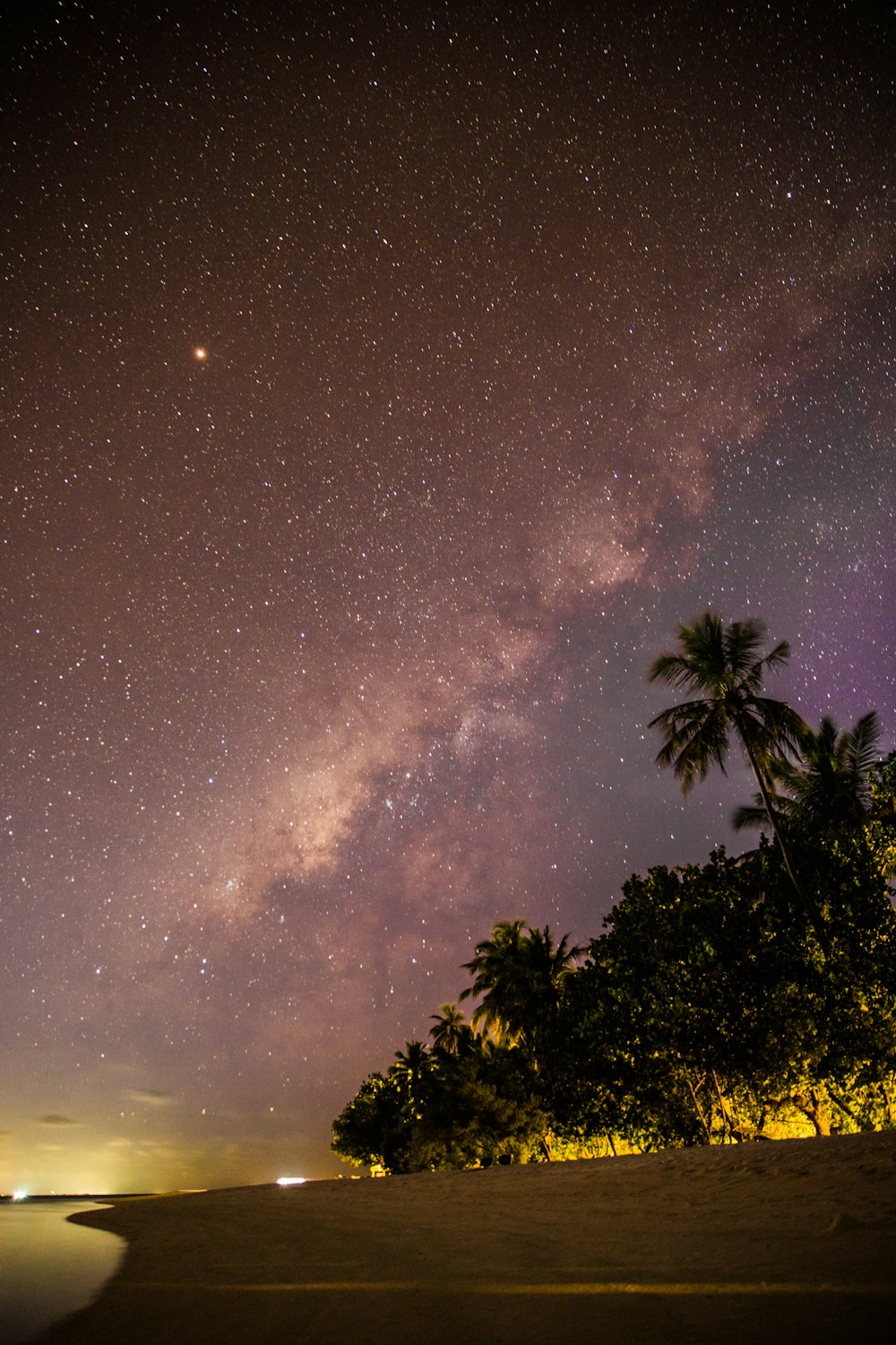 green trees under starry night