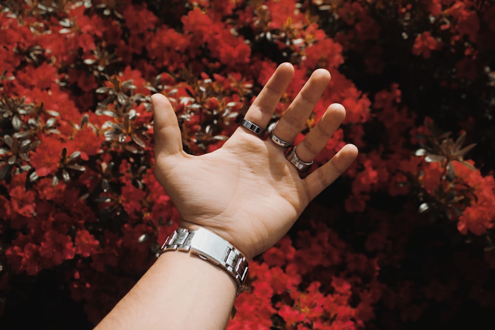 person wearing silver link bracelet watch