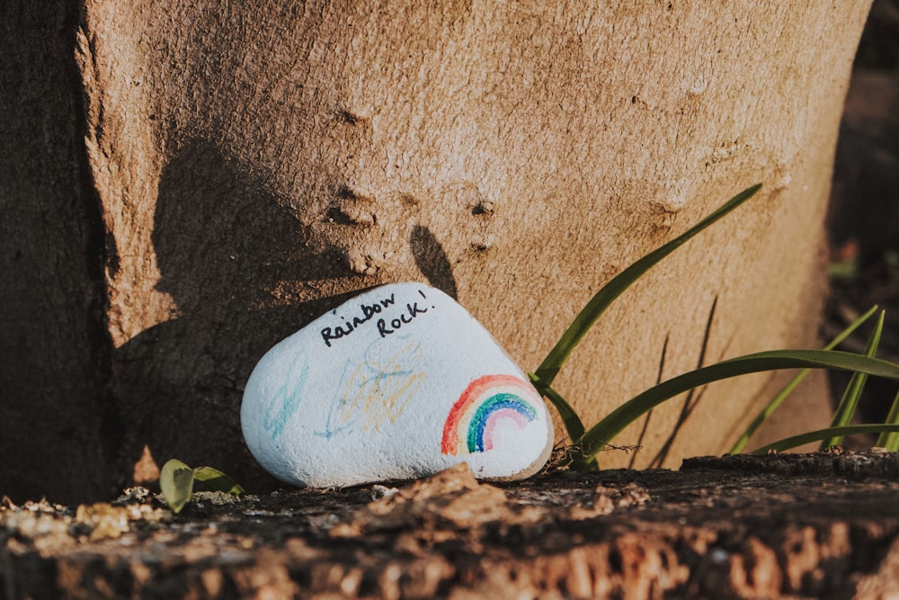 white and green plastic bottle on brown sand