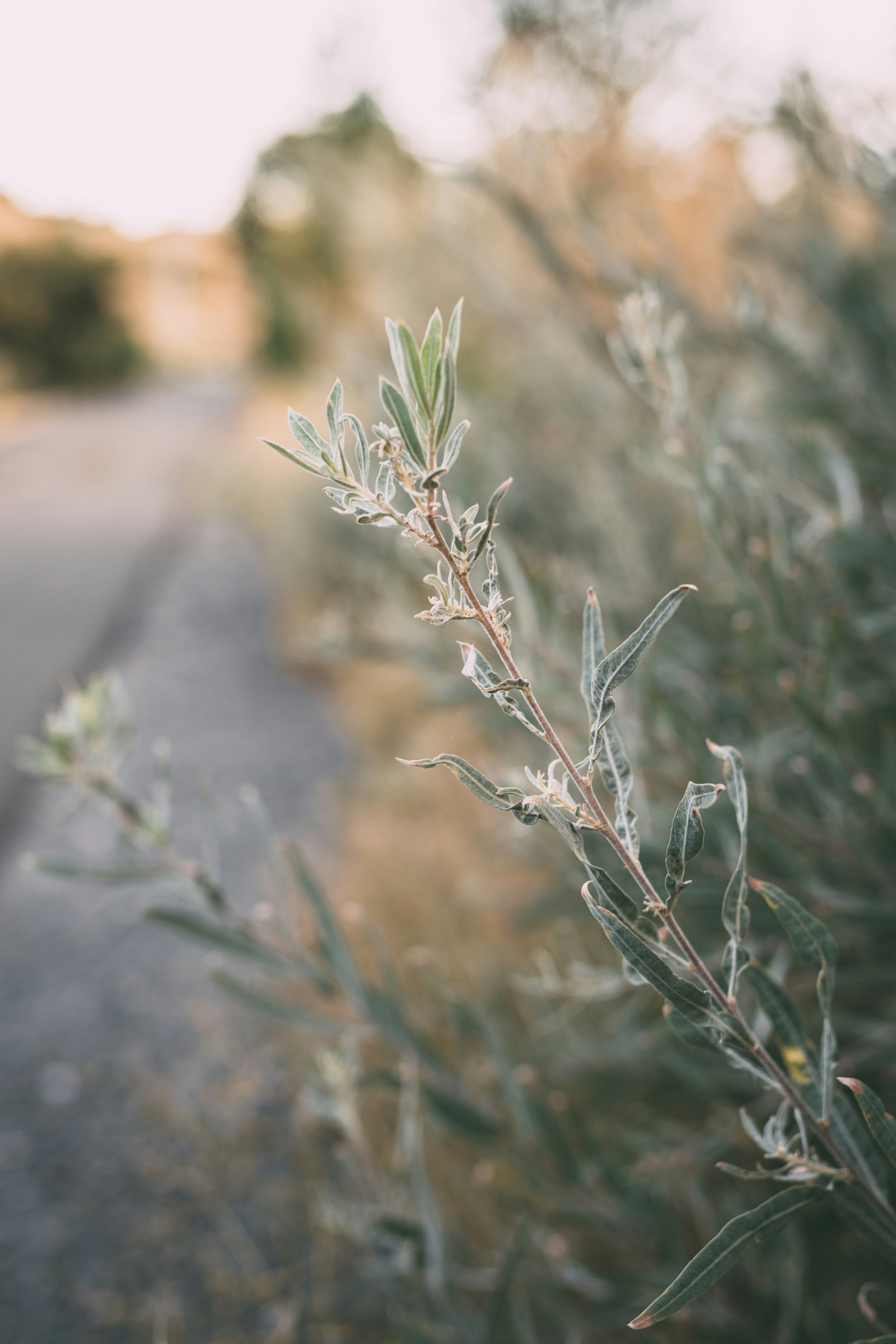 Photo by heytherehipster