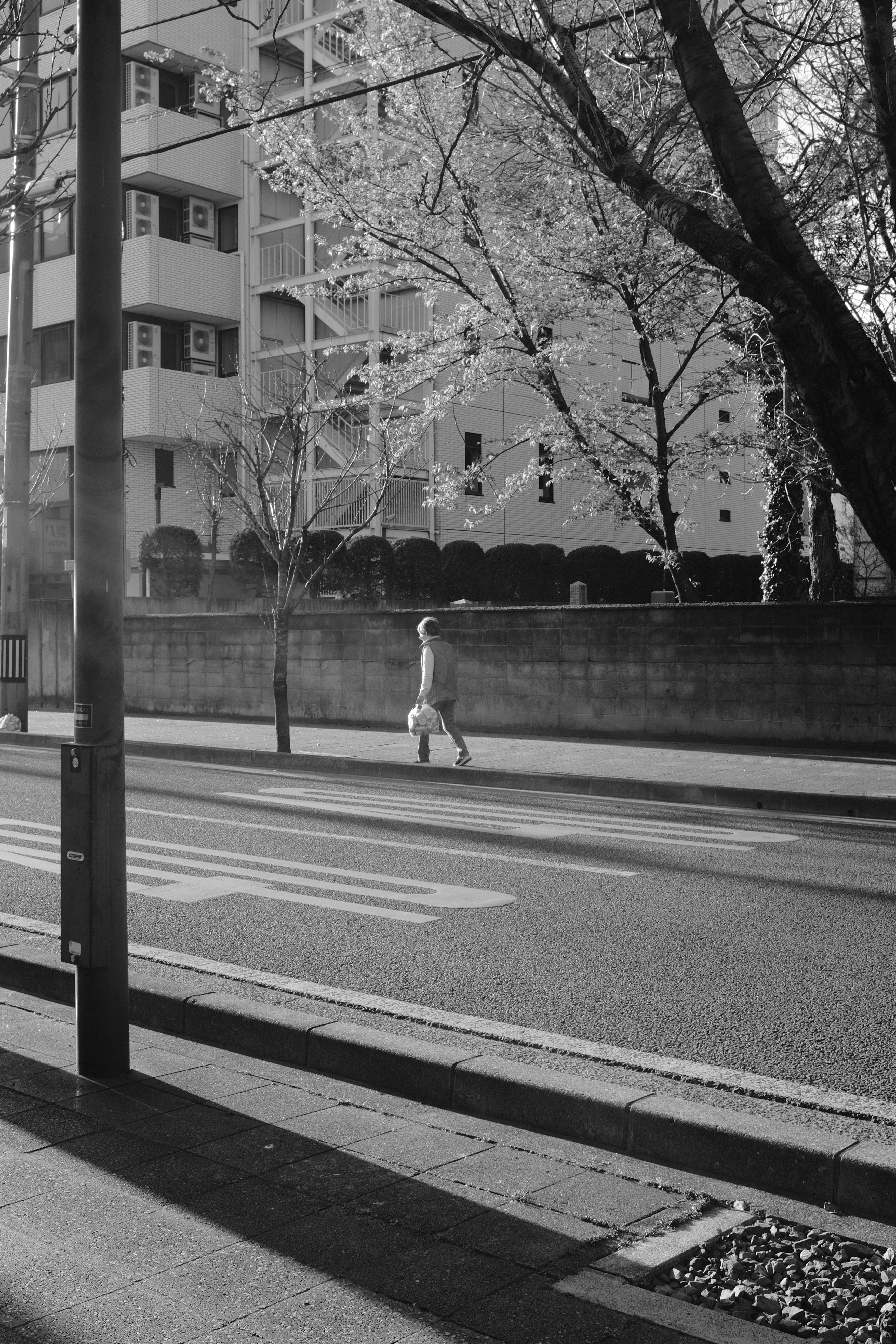 Photo by mak_jp
