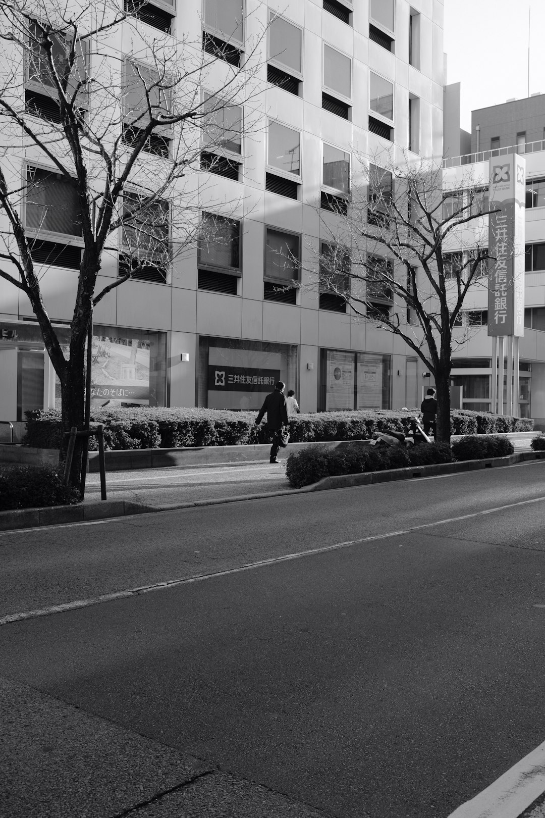 grayscale photo of bare trees near building