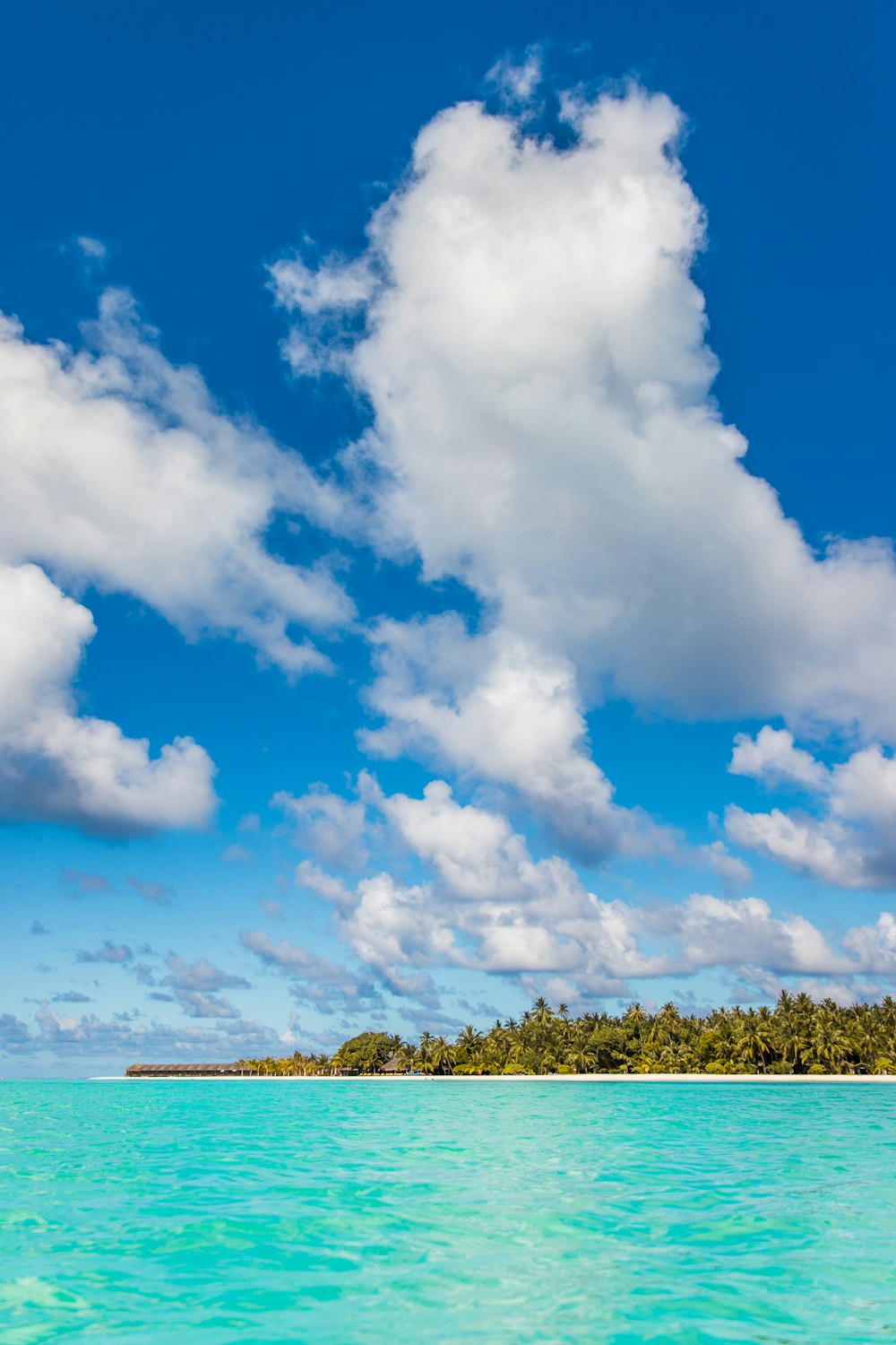 green grass field under white clouds and blue sky during daytime