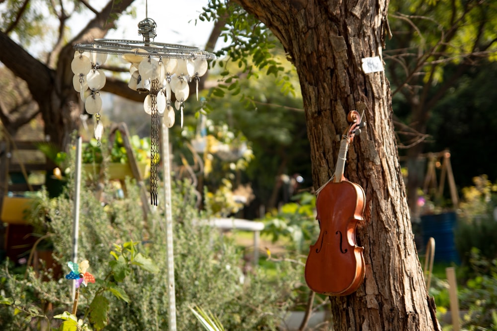 brown violin hanging on brown tree during daytime