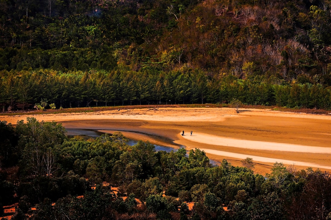 Nature reserve photo spot Teluk Asmara Beach Indonesia