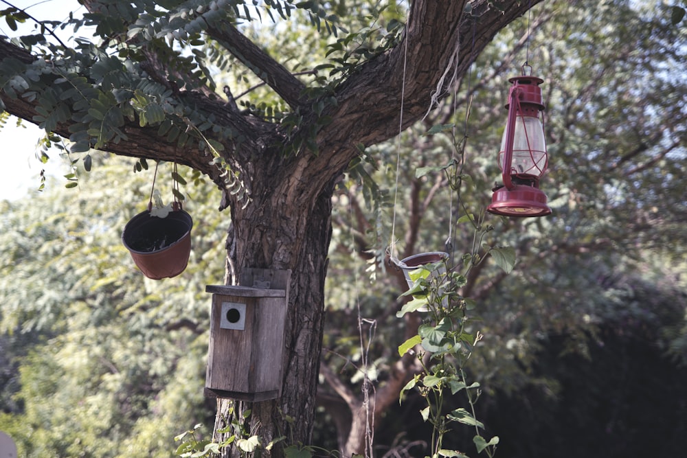 red and brown bird feeder