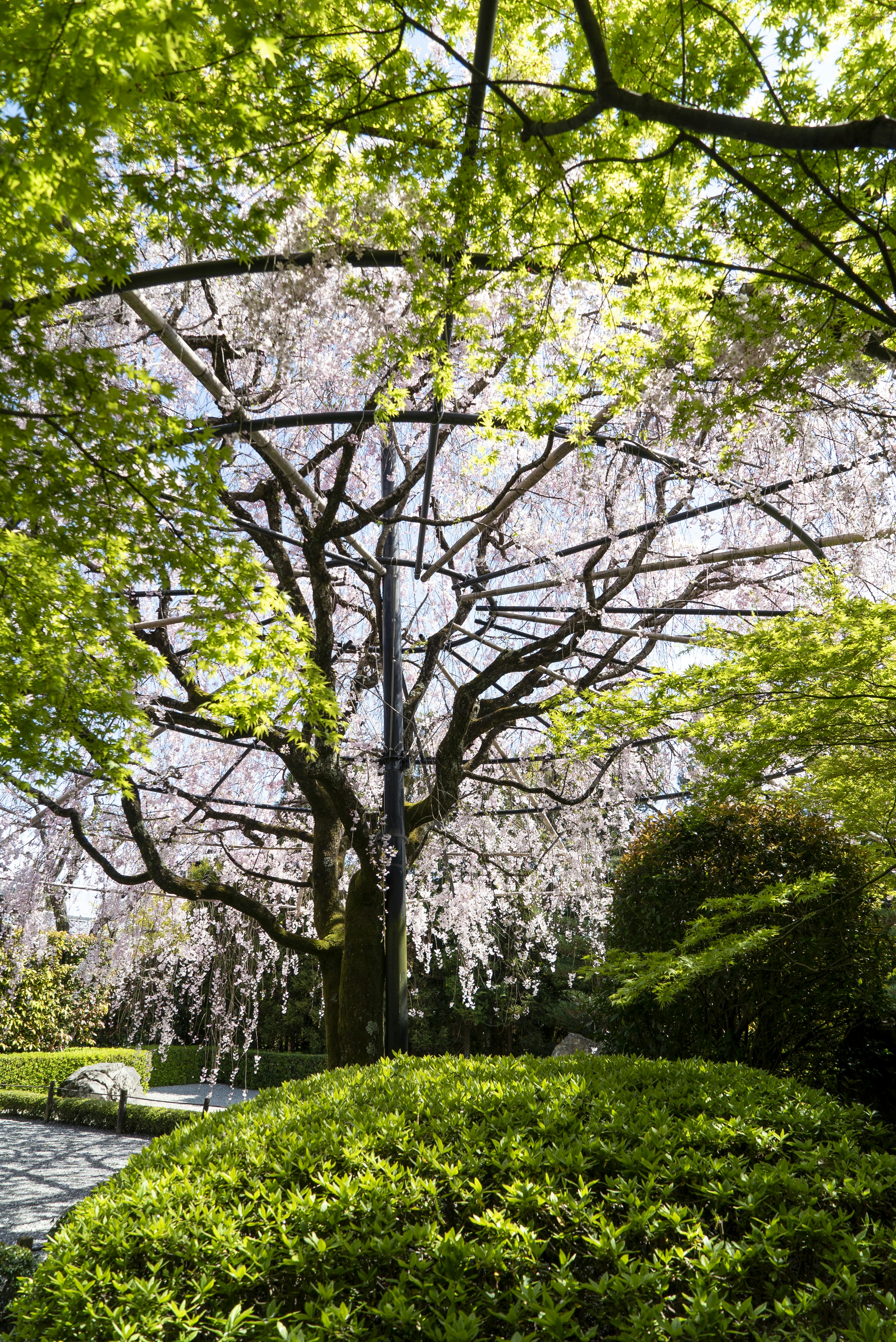 Photo by davidemrich