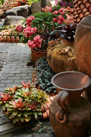 Artistic arrangement of potted plants and decorative stones on a terrace.