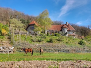 A picturesque countryside scene with a stone house featuring a red-tiled roof situated on a green hillside. Two horses are grazing in the foreground amidst a grassy field. The house is surrounded by a variety of trees and bushes, with a backdrop of a forested area and a bright blue sky overhead.