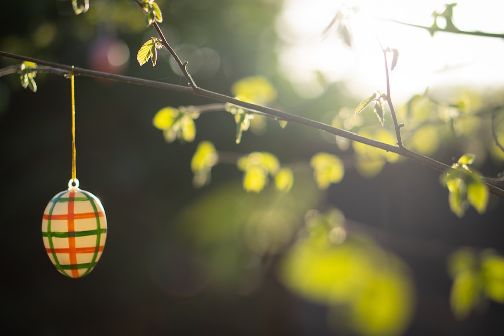 red yellow and blue round ornament