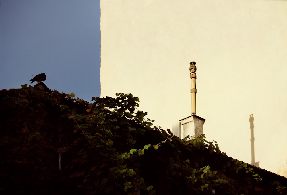 white concrete tower near green plants during daytime