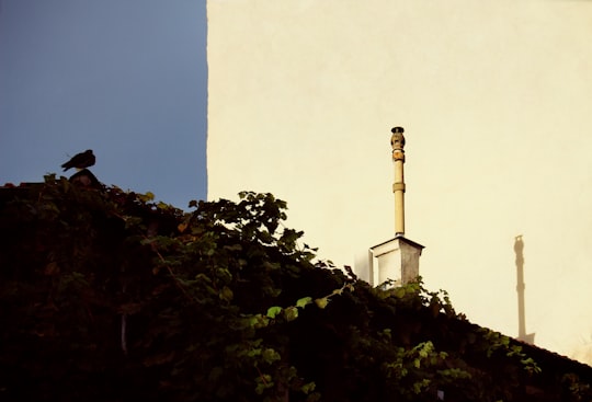 white concrete tower near green plants during daytime in Père-Lachaise France