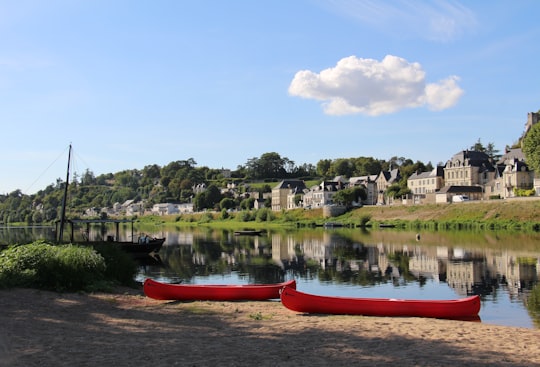 Chinon things to do in Loire