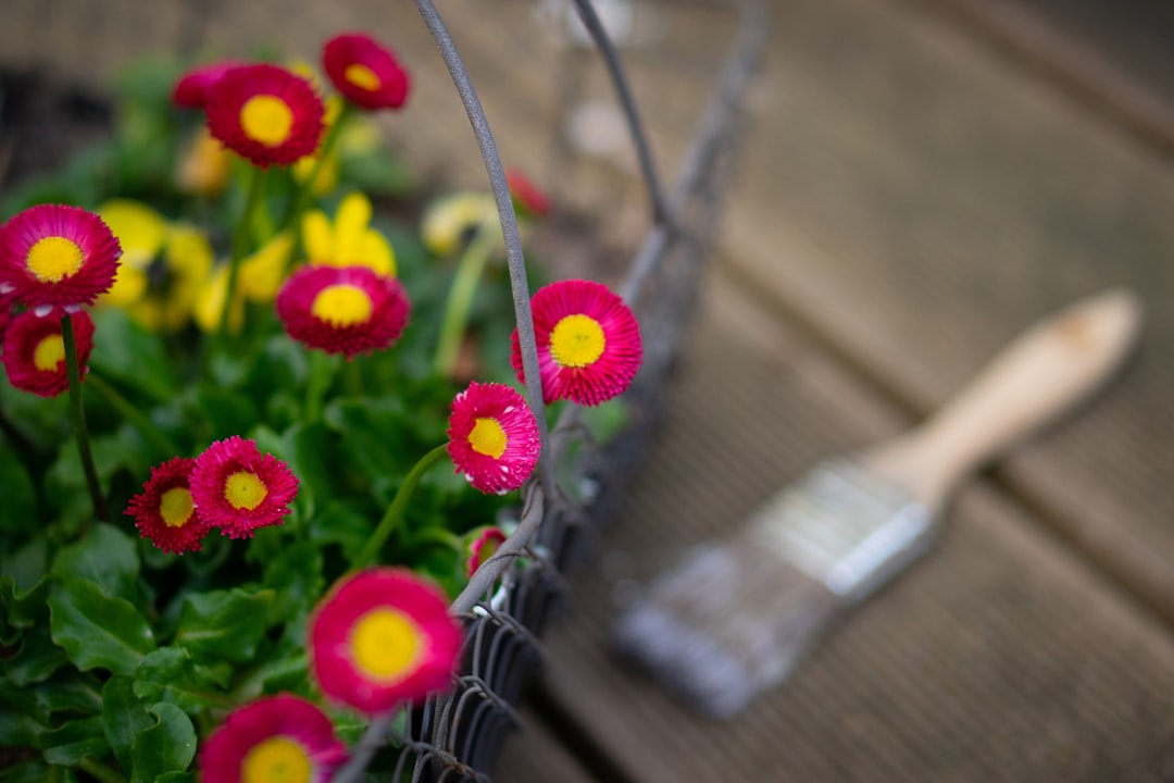 pink and yellow flowers on brown wooden table