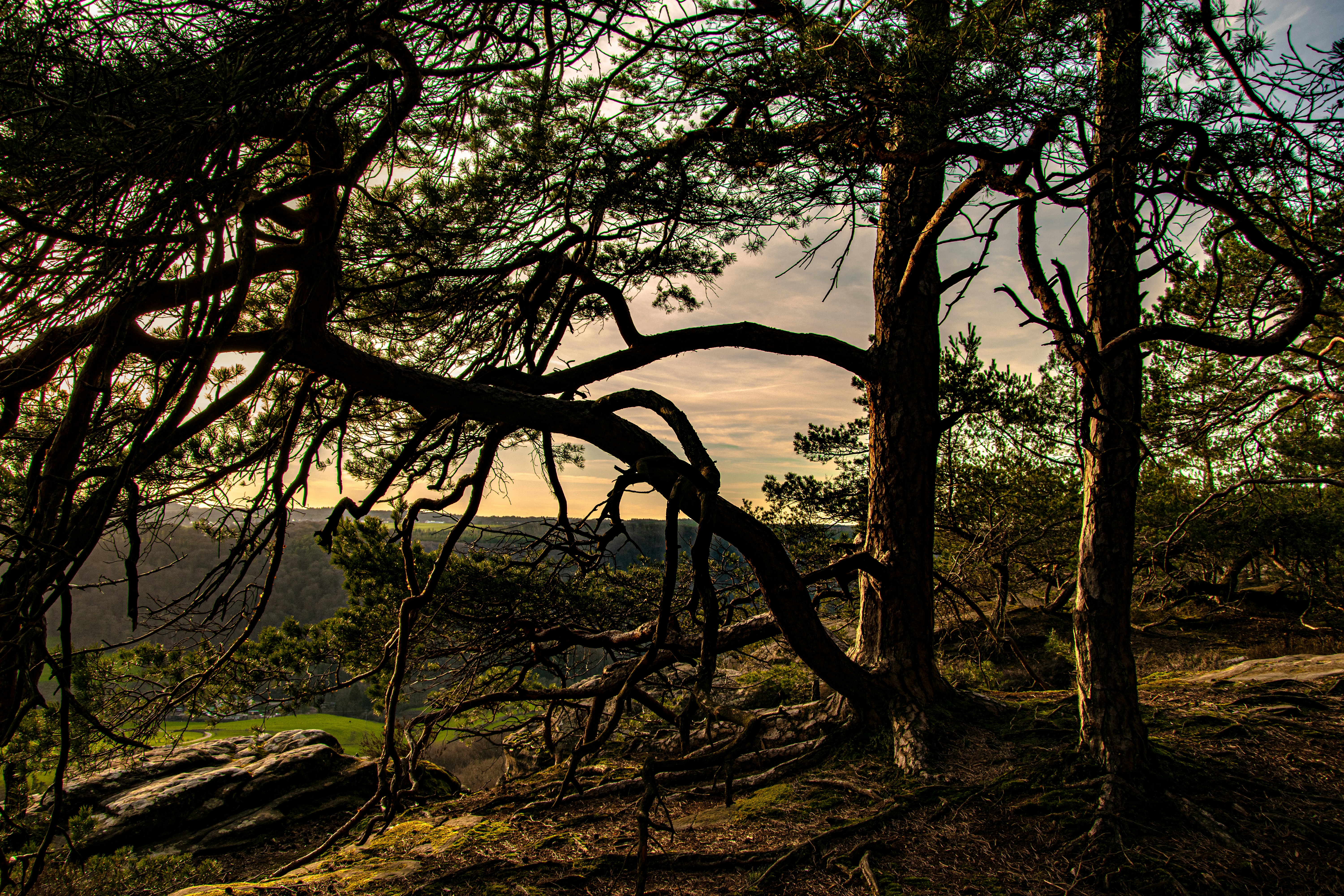 Afbeelding van Berdorf