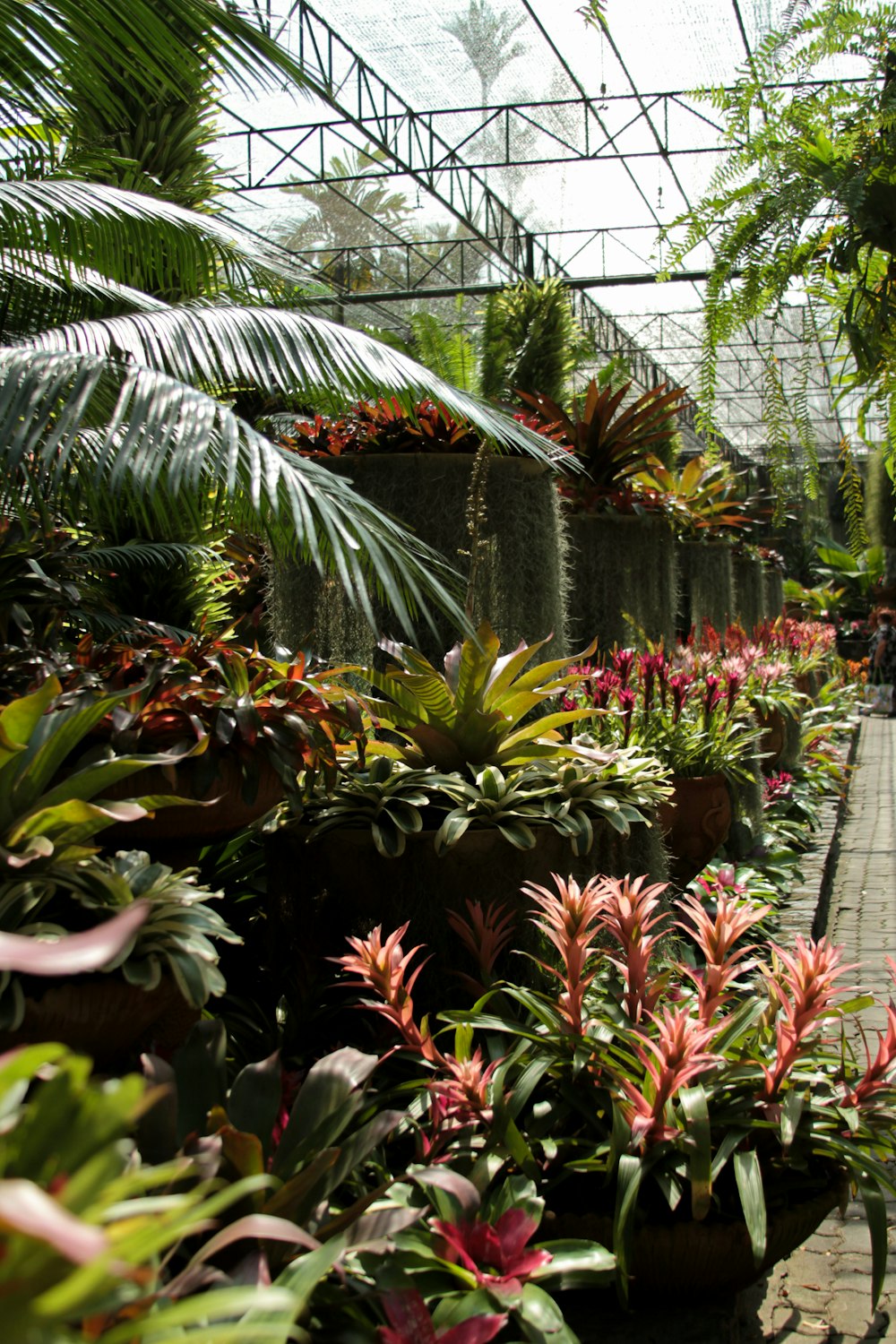 green plants on green metal frame