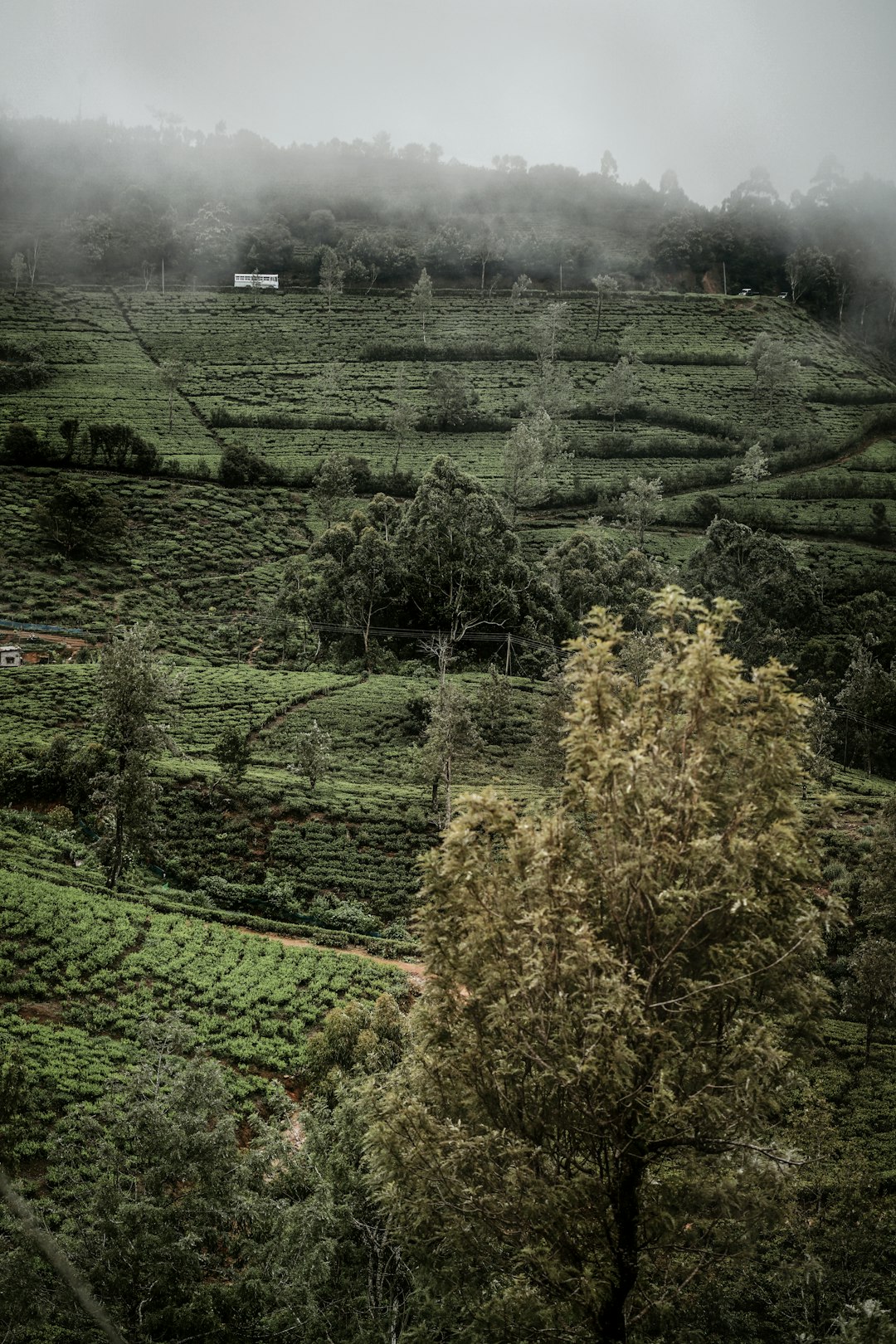 Highland photo spot Nuwara Eliya Ella