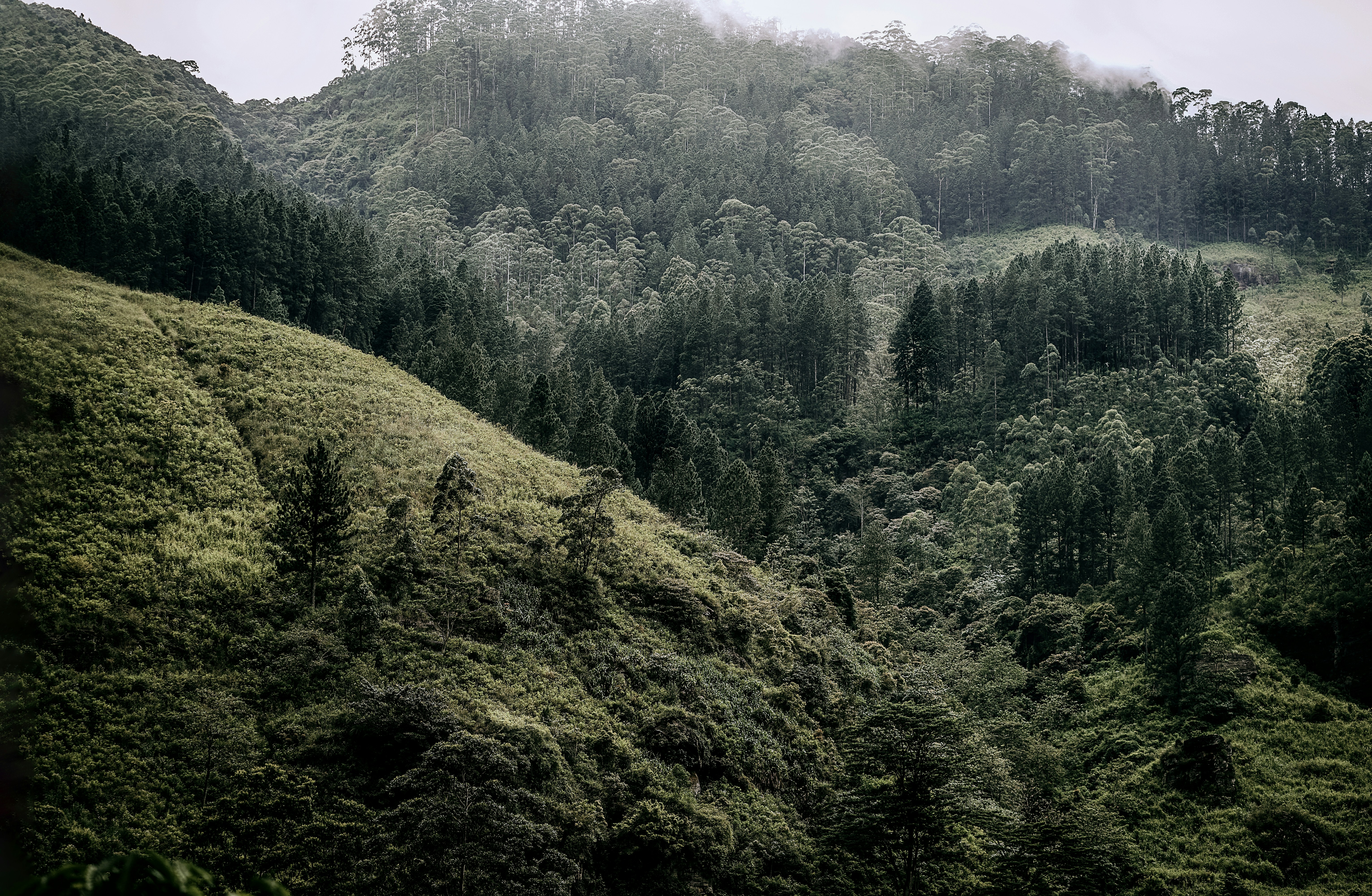 Photo by dubai_love_story