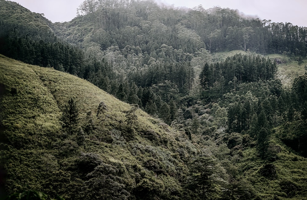 green mountain under white sky during daytime