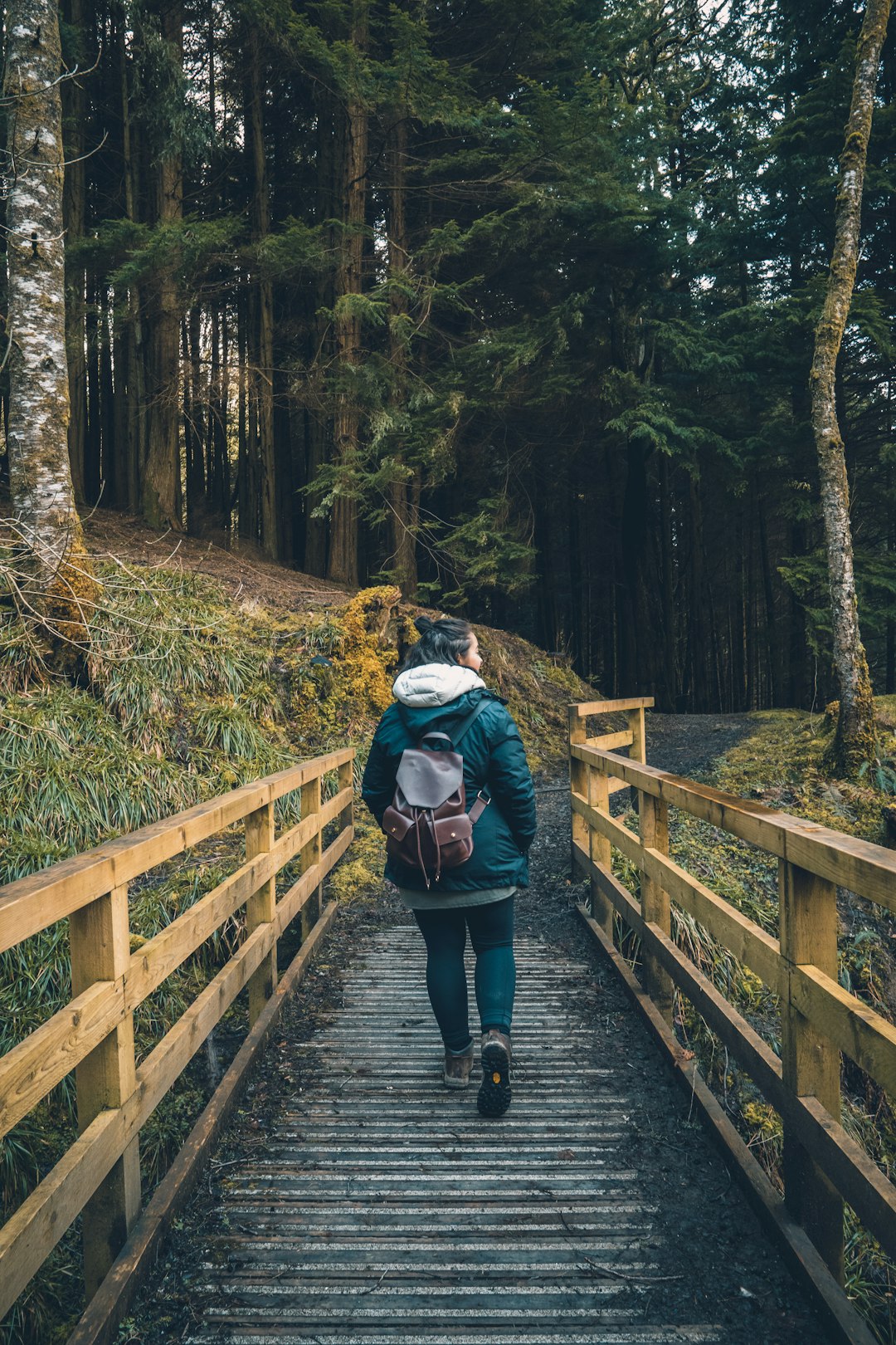 travelers stories about Bridge in Kielder Forest, United Kingdom