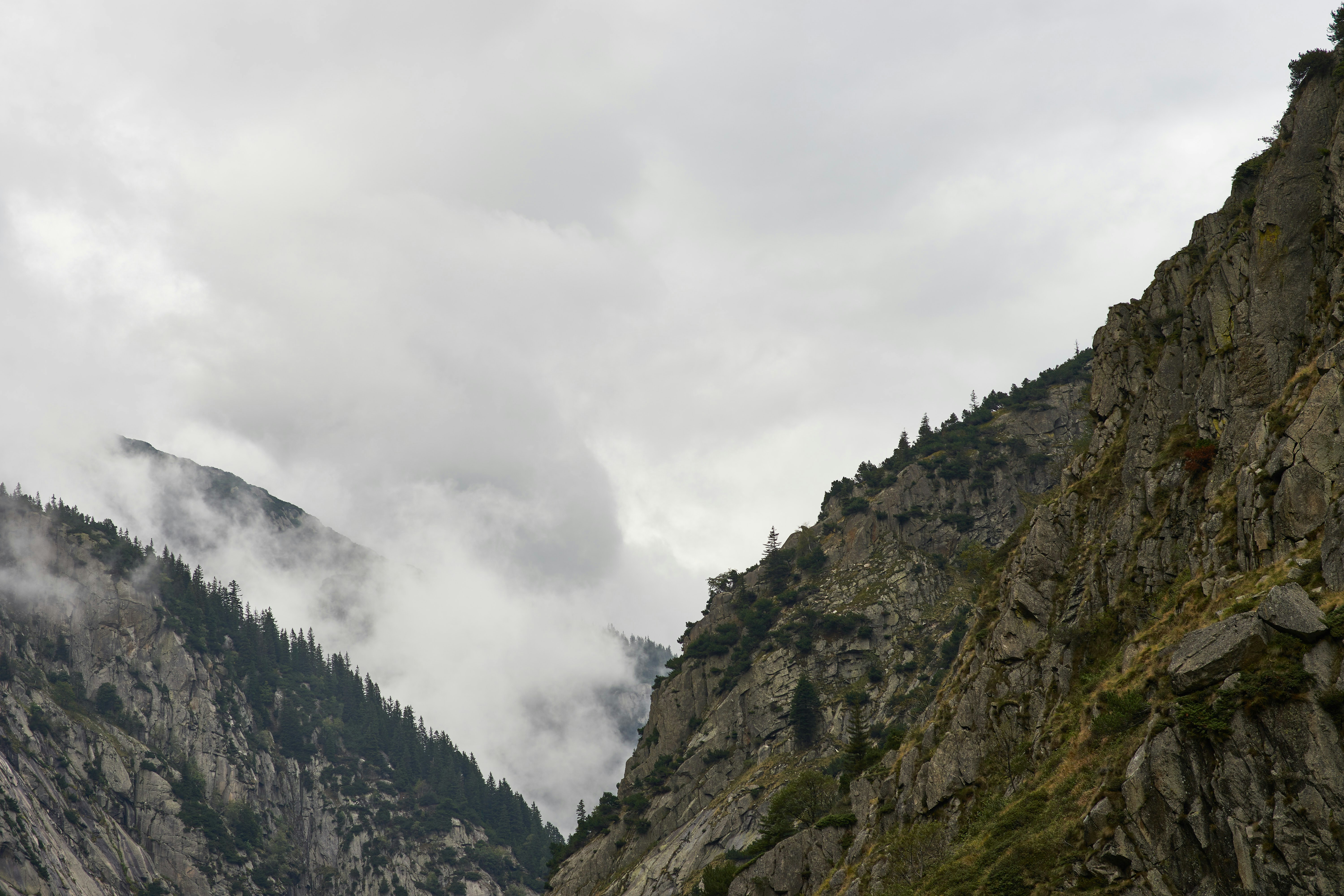 Photo by wolfgang_hasselmann