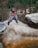 boy in blue jacket sitting on rock during daytime