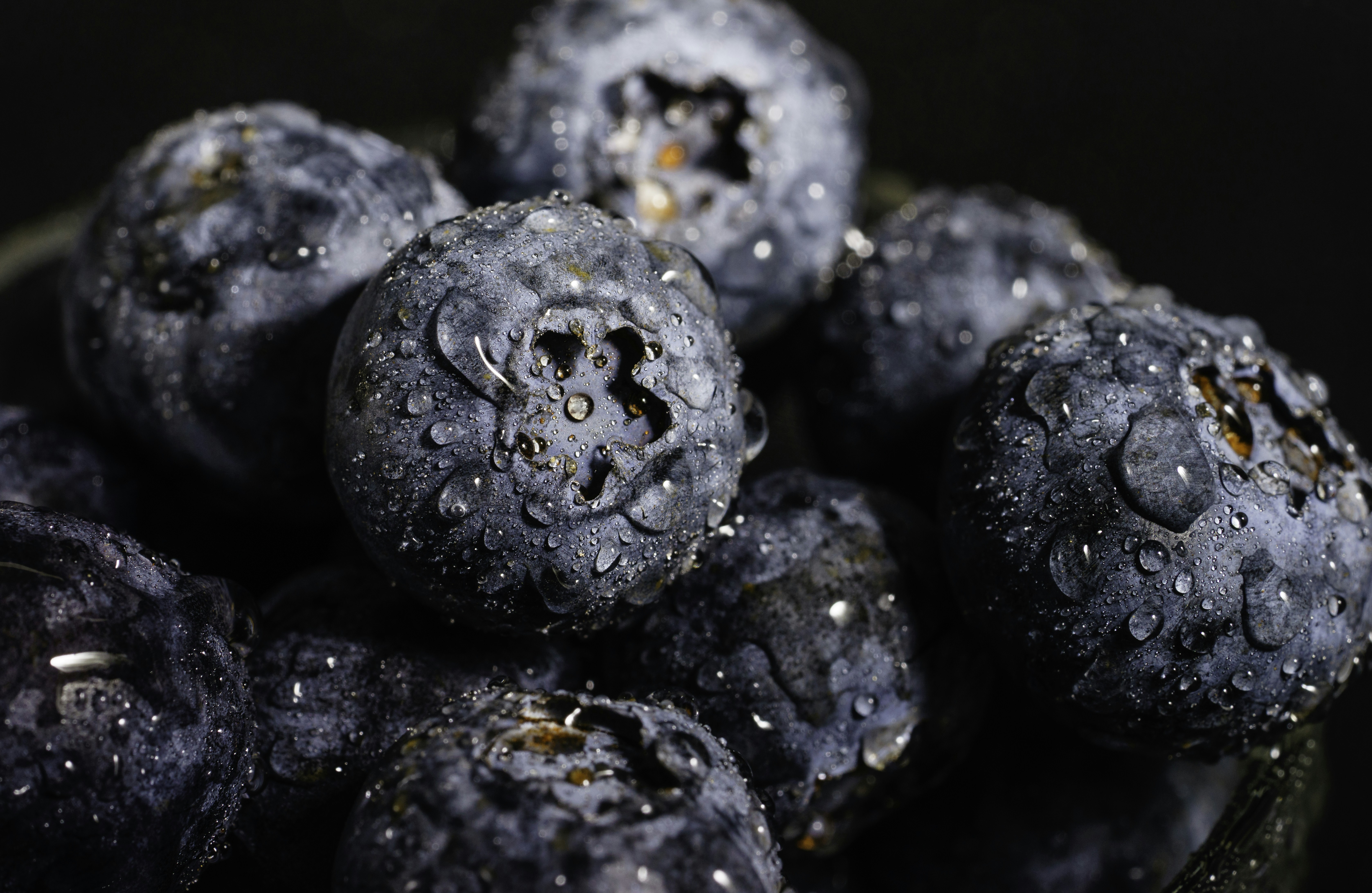 black berries in close up photography