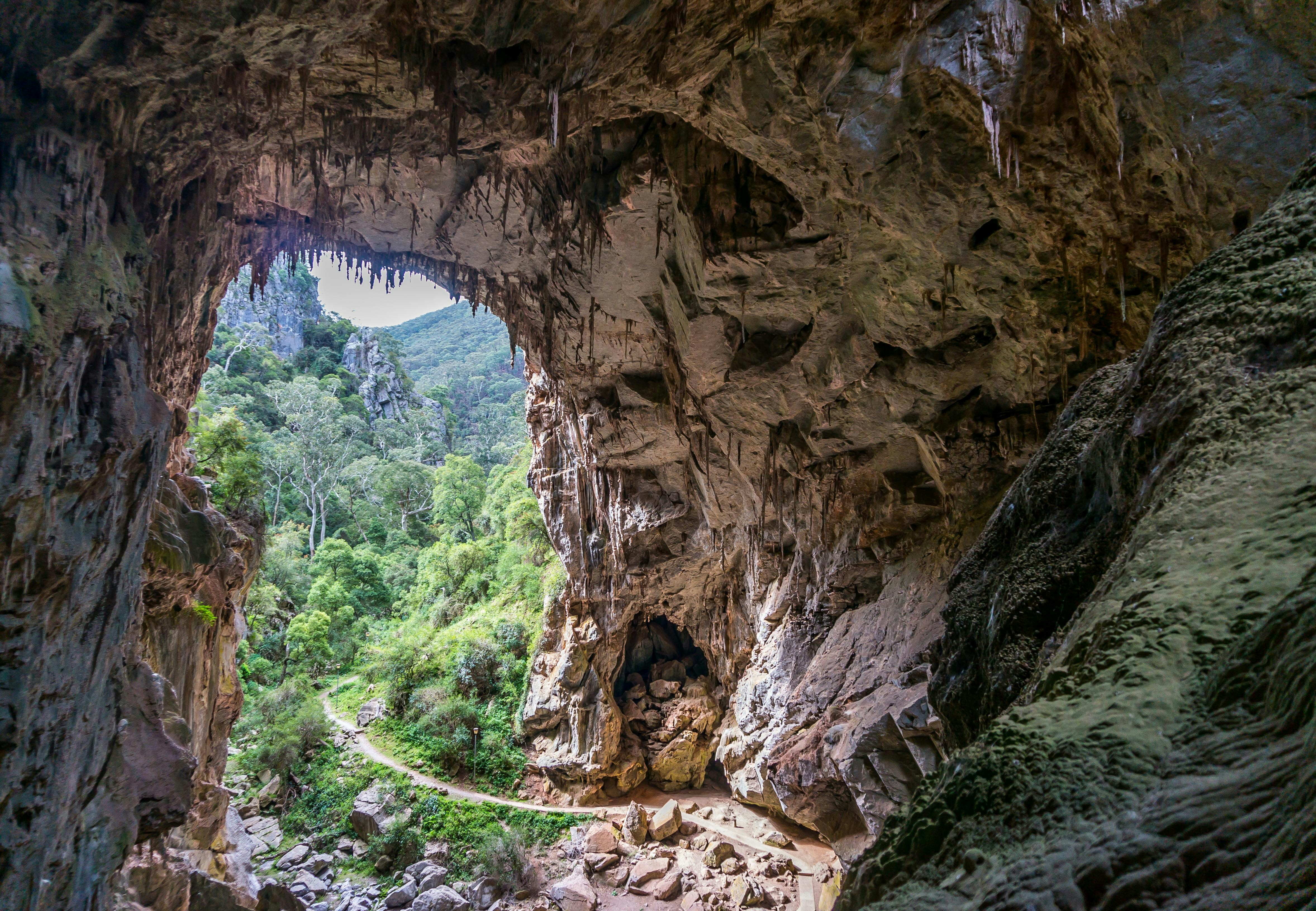 The 'Great' Cave