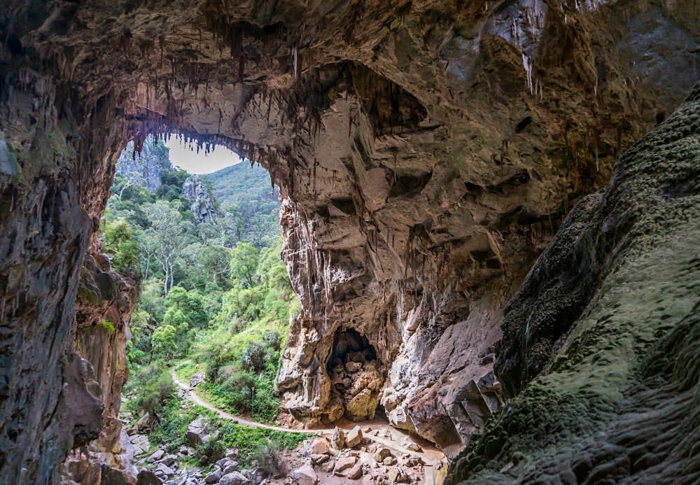 brown rock formation during daytime