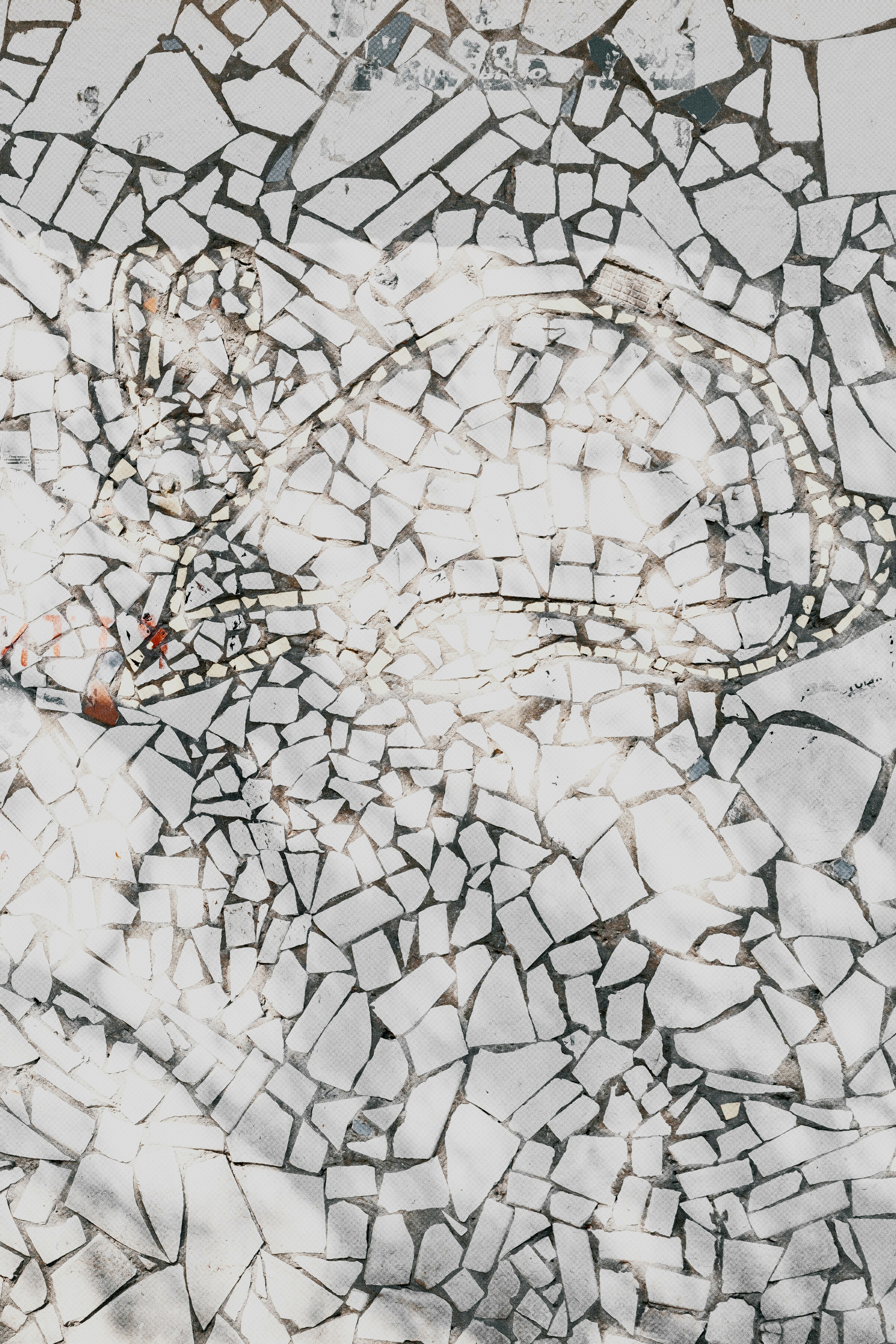 Photo by marjan_blan