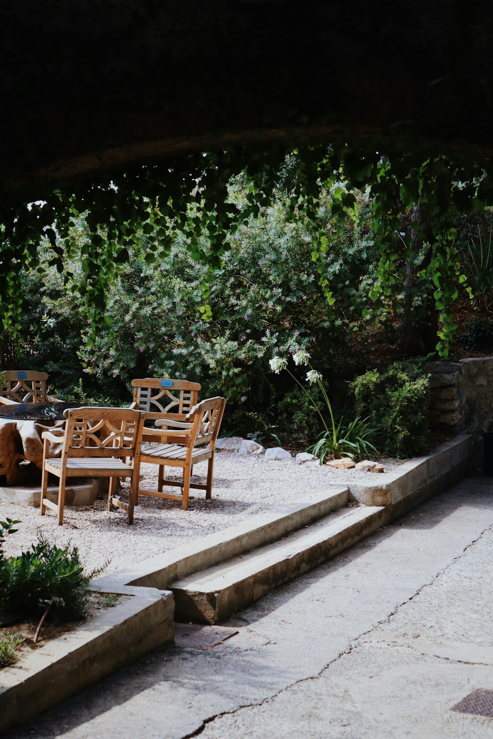 brown wooden table and chairs near green trees during daytime