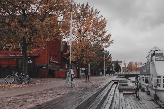 brown wooden bench near brown trees during daytime in Oulu Finland