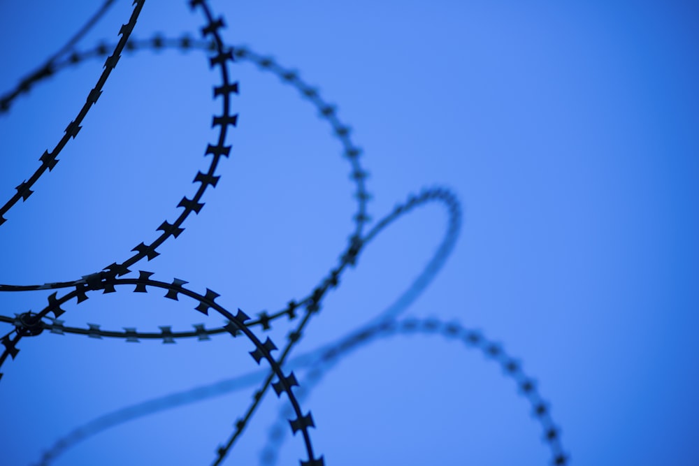 black metal wire fence under blue sky during daytime