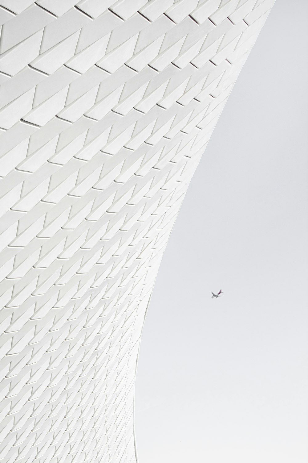 birds flying over the building during daytime