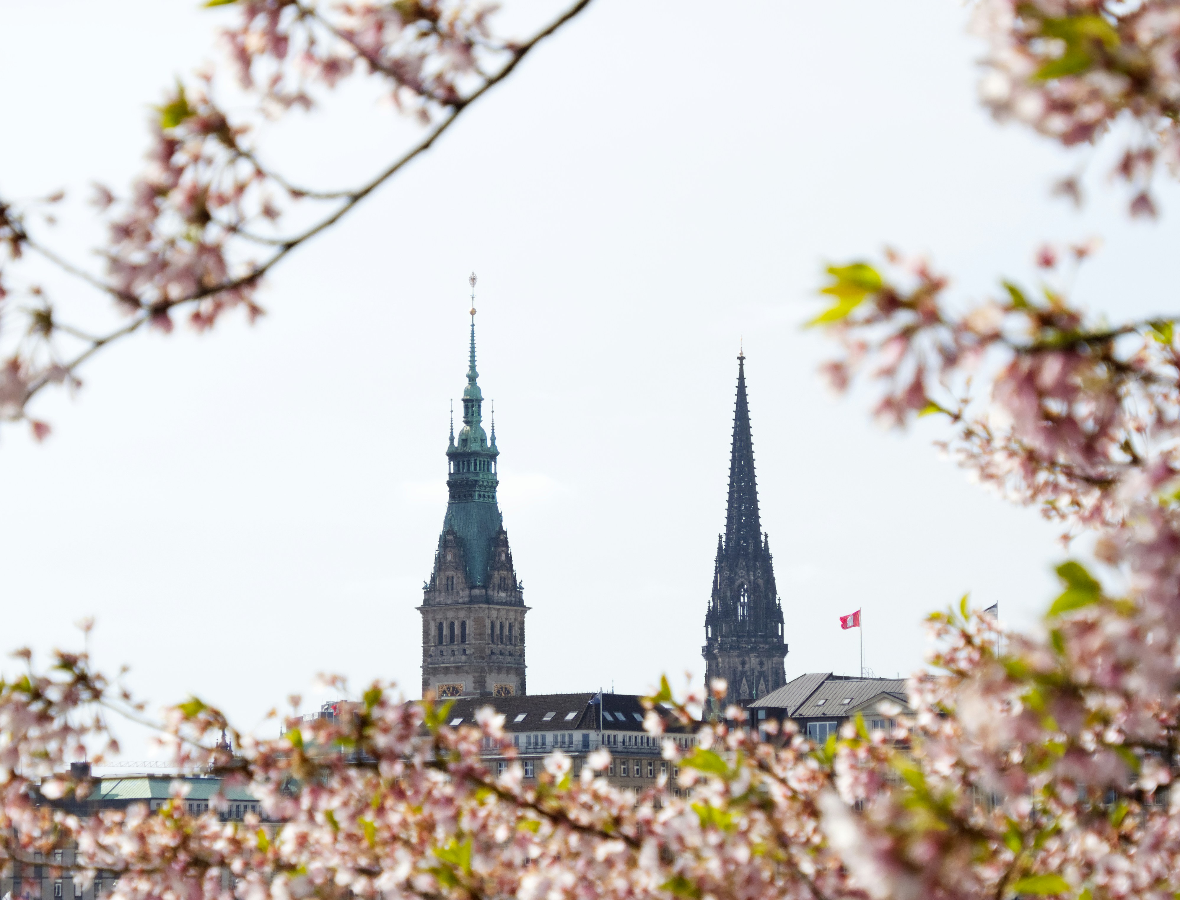 Binnenalster photo 2