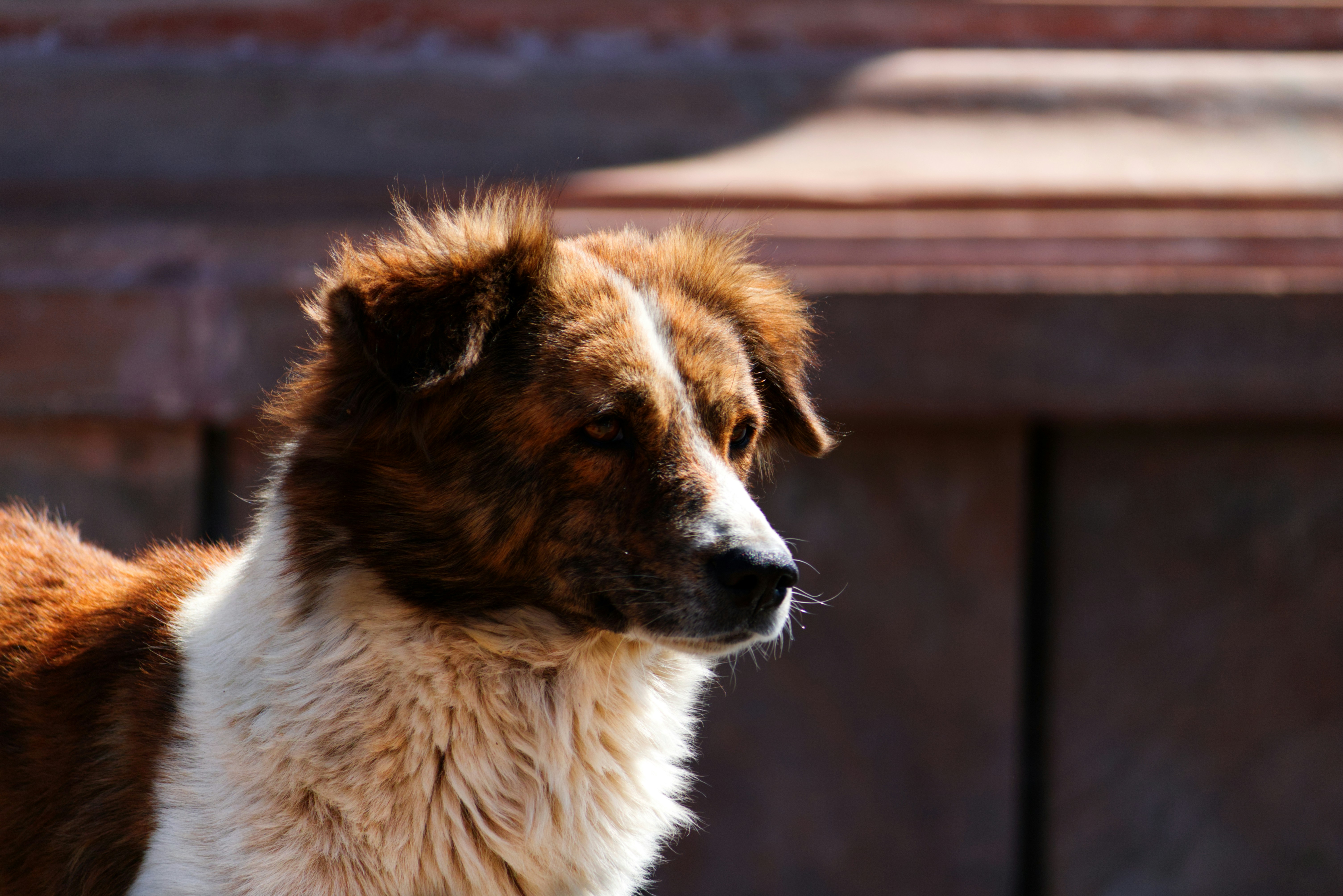 Photo by sudev_kiyada