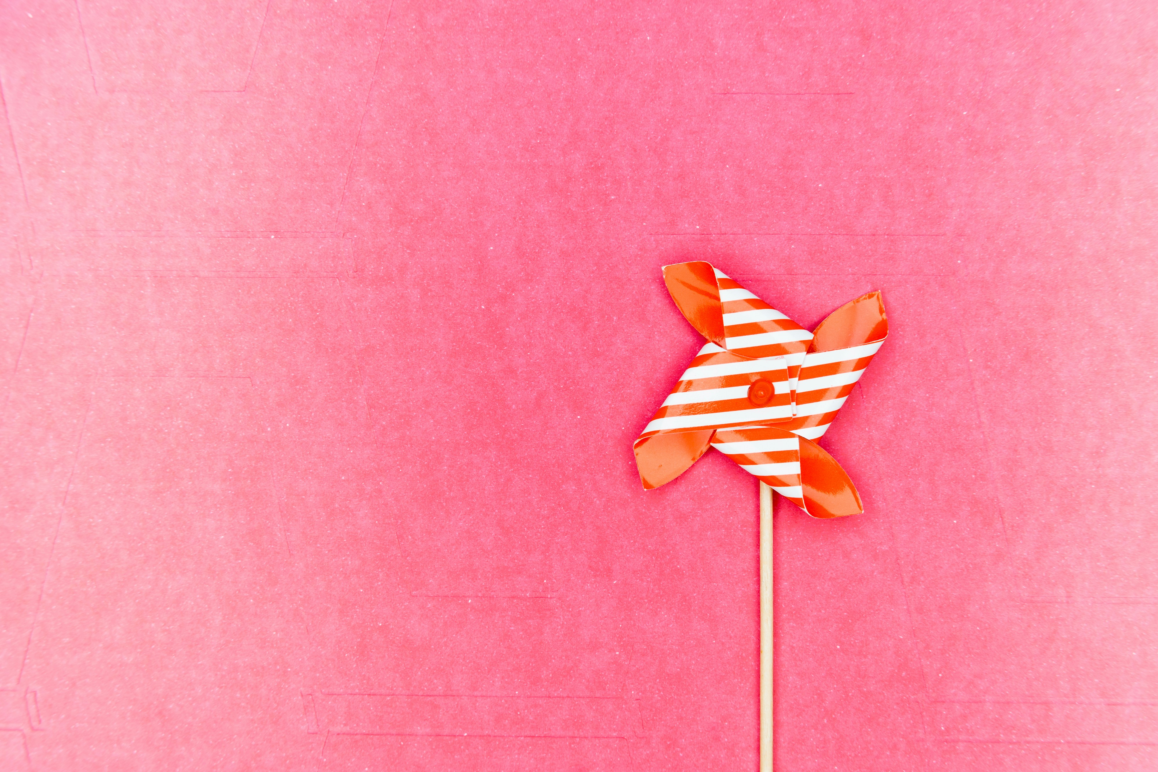 pink and yellow paper flower