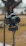A professional DSLR camera mounted on a tripod, outdoors with a blurred background of trees and grass.