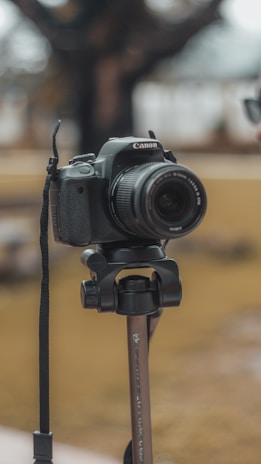 A professional DSLR camera mounted on a tripod, outdoors with a blurred background of trees and grass.