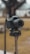 A professional DSLR camera mounted on a tripod, outdoors with a blurred background of trees and grass.