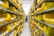 A person in a blue uniform stands in a warehouse aisle, surrounded by shelves filled with yellow plastic bins. The bins are organized and labeled, containing various items, while the industrial lighting provides a bright environment.
