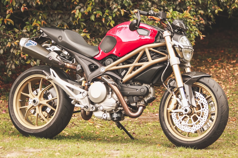 red and black motorcycle on green grass field during daytime