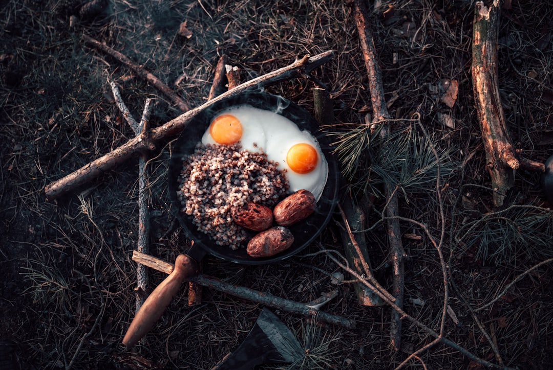 white egg on brown nest